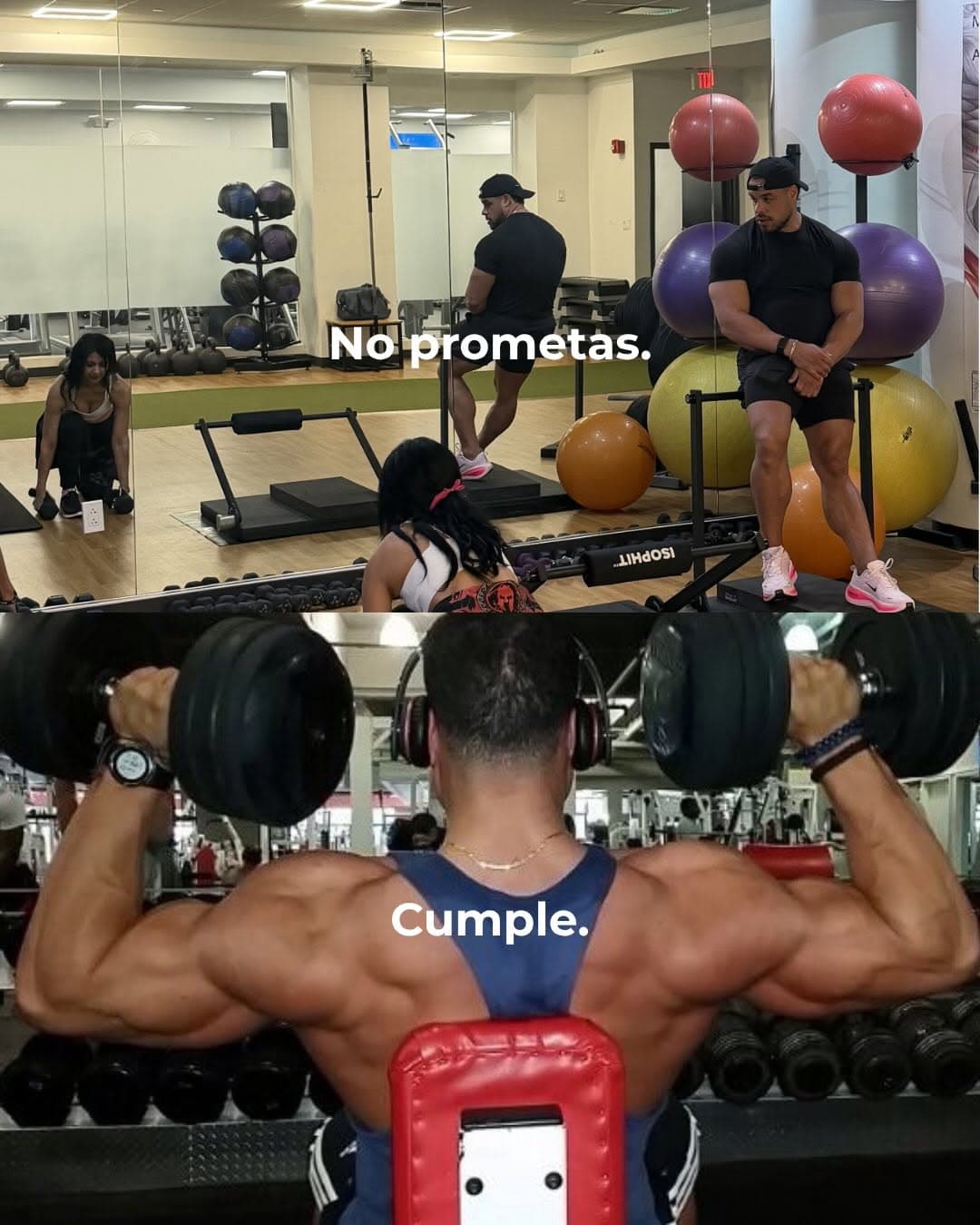 How Much Protein Do You Really Need?